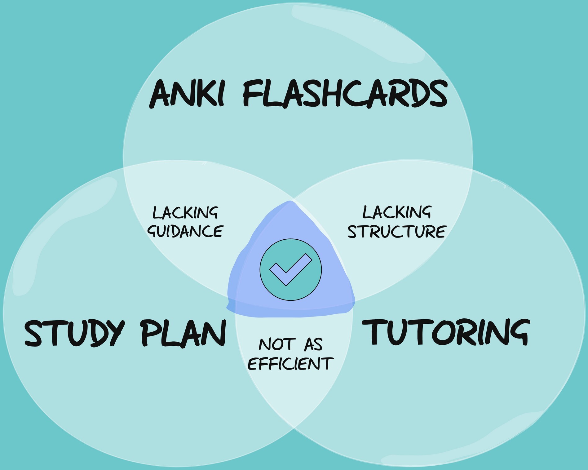 IMAT Study Techniques