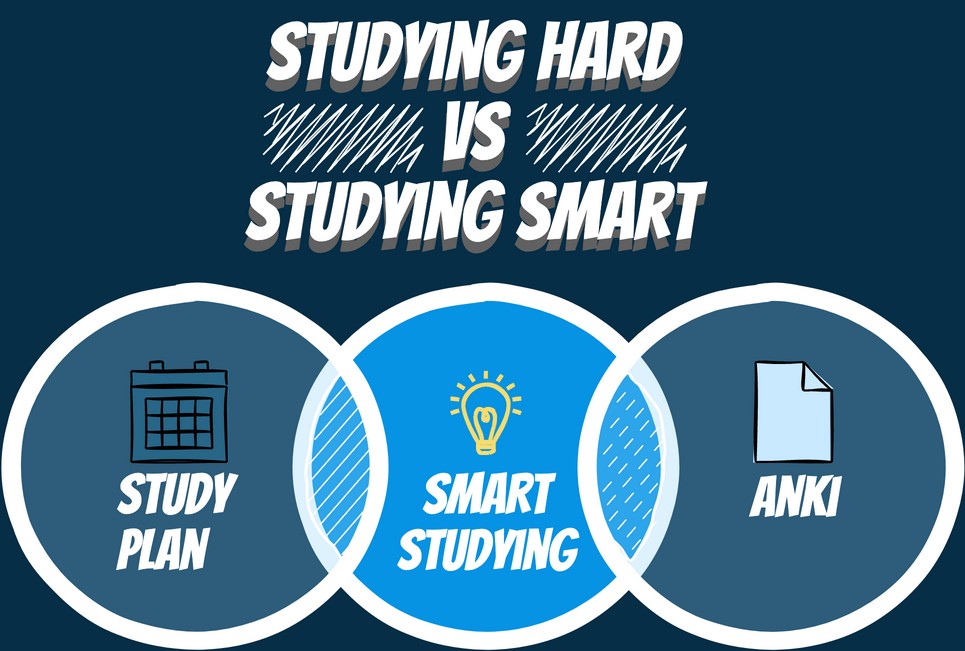 IMAT study techniques