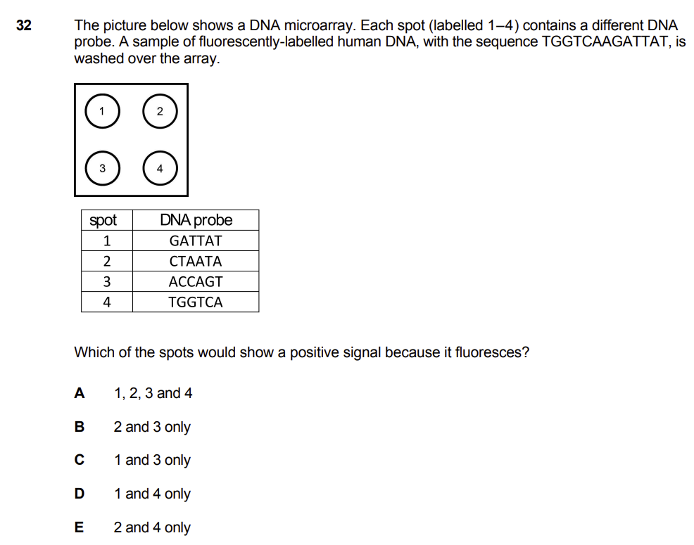 IMAT Biology Example