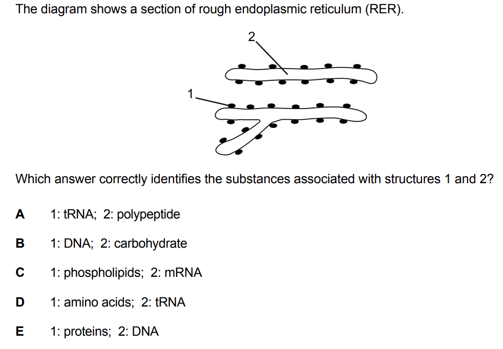 IMAT 2014 Biology Question Example